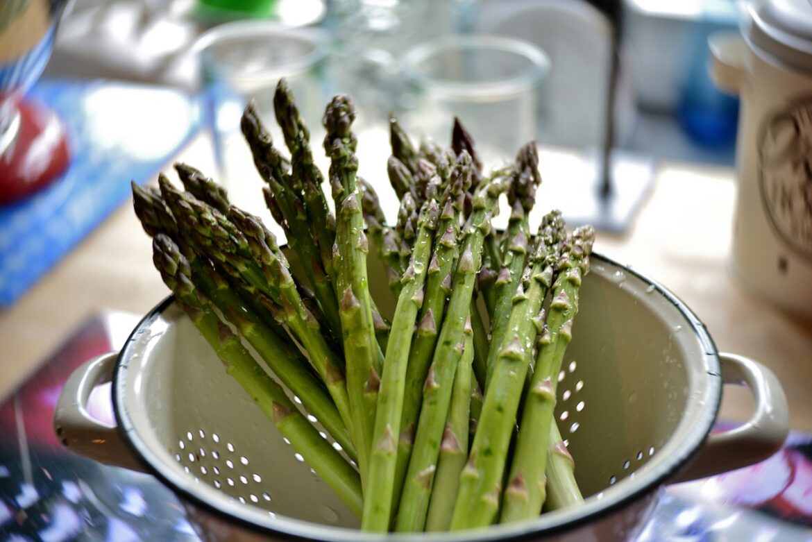Asparagus Nutrition Facts and Health Benefits Asparagus Nutrition Facts and Health Benefits