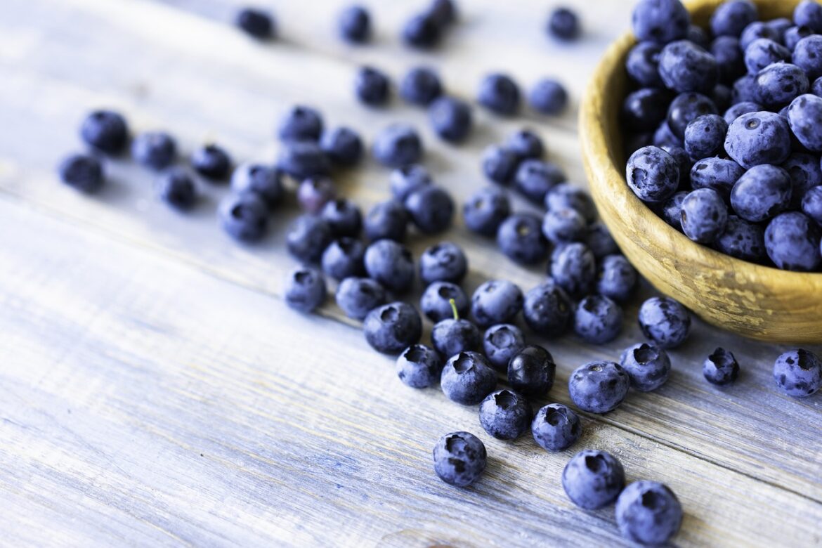 Blueberry Nutrition Facts and Health Benefits
