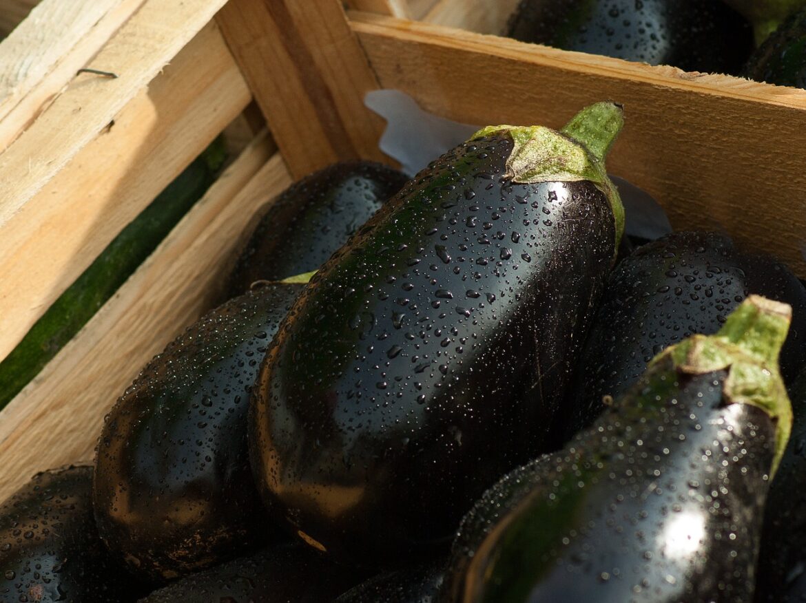 Eggplant Nutrition Facts and Health Benefits Eggplant Nutrition Facts and Health Benefits