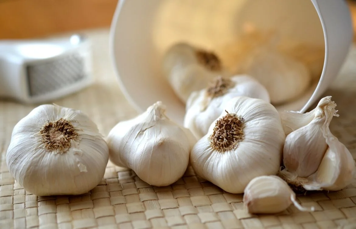 Garlic Nutrition Facts and Health Benefits