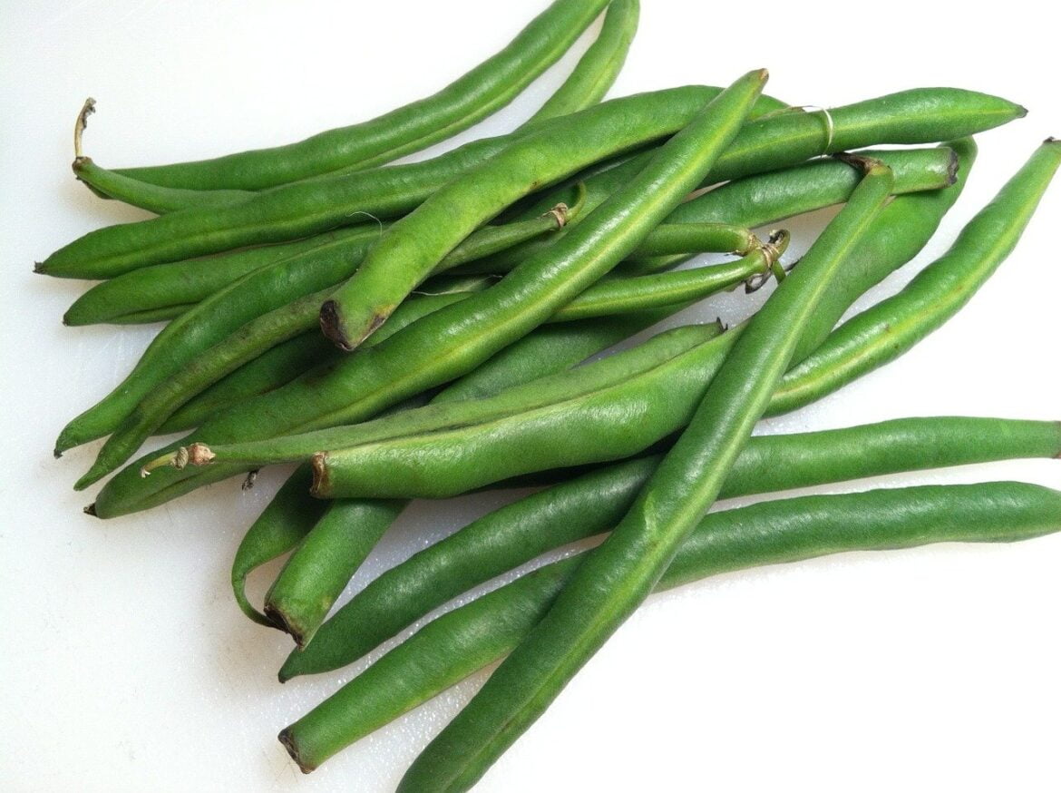 Green Bean Nutrition Facts and Health Benefits Green Bean Nutrition Facts and Health Benefits