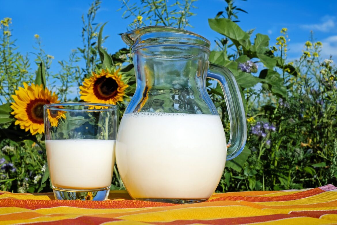 Foods High in Vitamin B12 Foods High in Vitamin B12