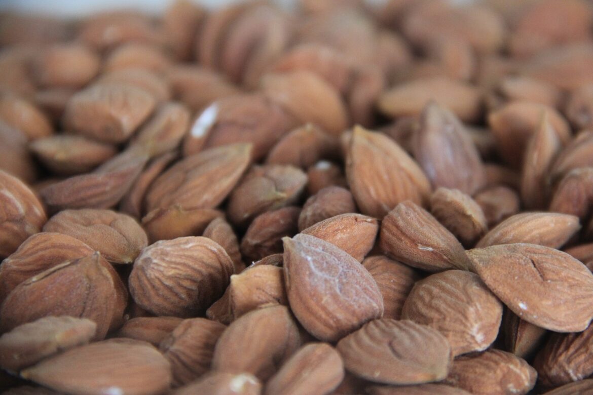 Healthy Foods That Are High in Magnesium Healthy Foods That Are High in Magnesium