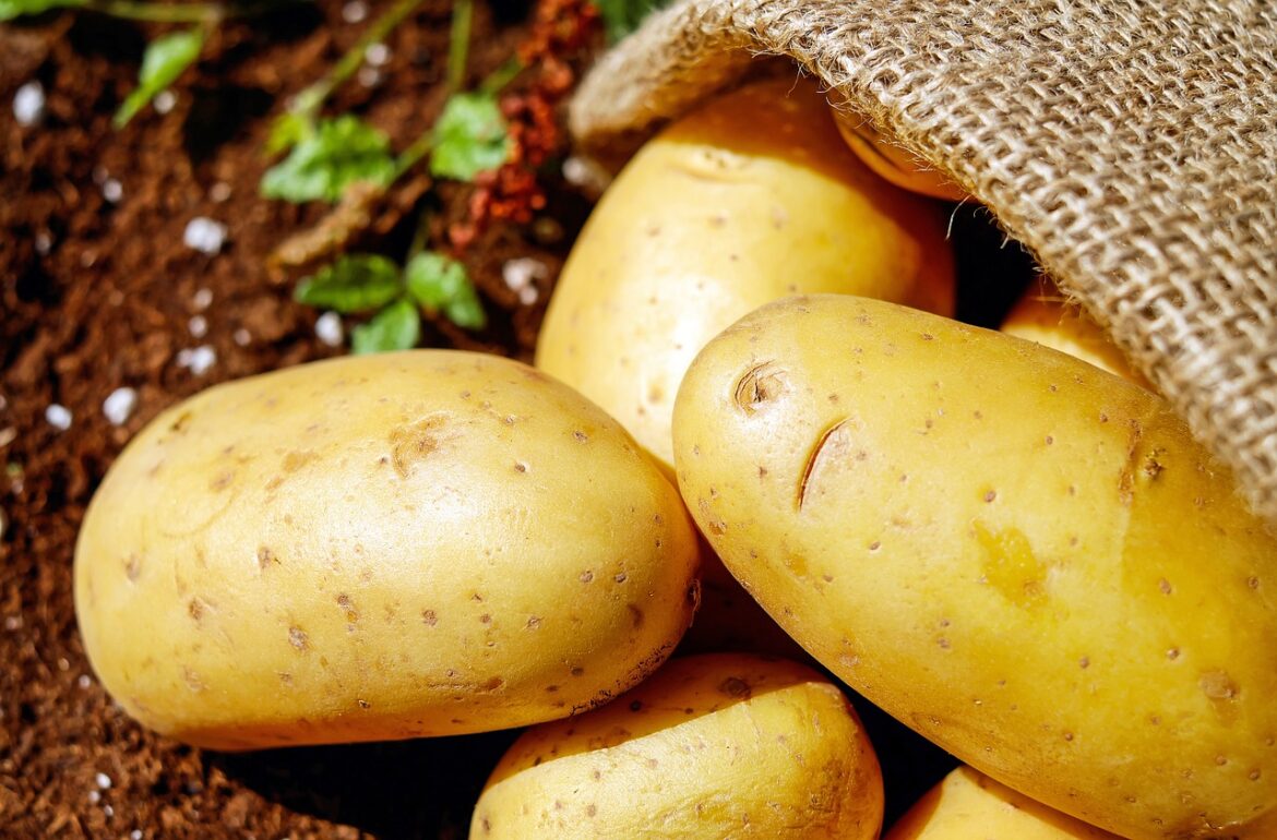Potato Nutrition Facts and Health Benefits Potato Nutrition Facts and Health Benefits