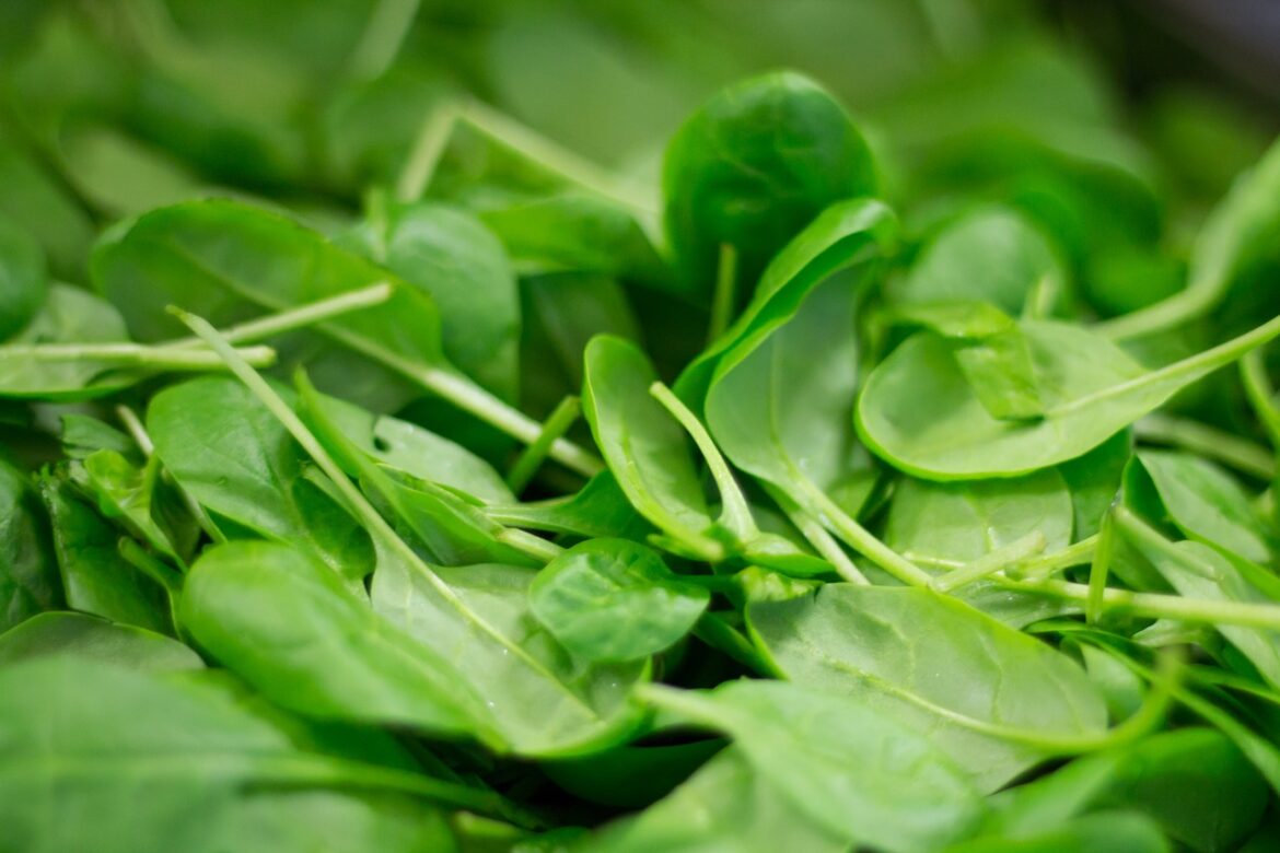 Spinach Nutrition Facts and Health Benefits One Good Food Blog