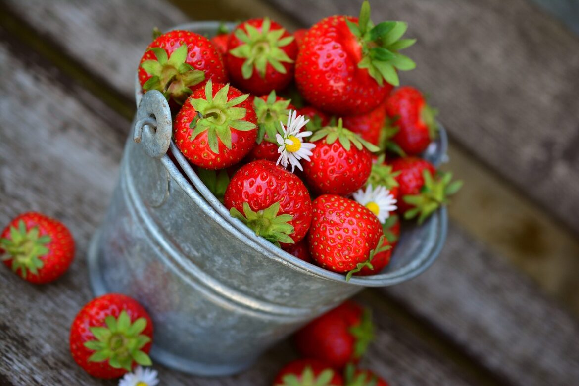 Strawberry Nutrition Facts and Health Benefits Strawberry Nutrition Facts and Health Benefits