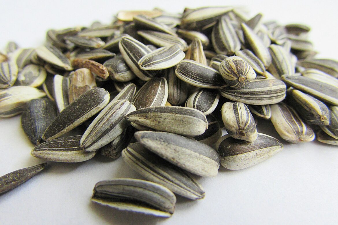 Sunflower Seed Nutrition Facts and Health Benefits