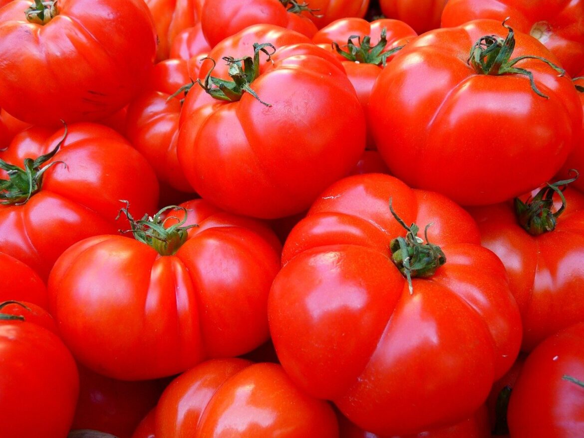 Tomato Nutrition Facts and Health Benefits