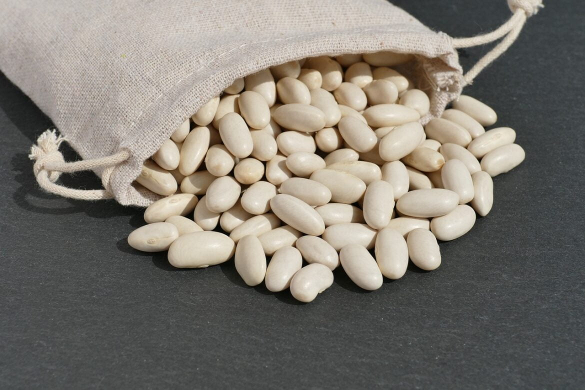 Top 10 Potassium Rich Foods Top 10 Potassium Rich Foods